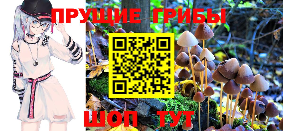 цена наркотик  Псилоцибиновые грибы Magic Shrooms  Вход с VPN  Тавда 